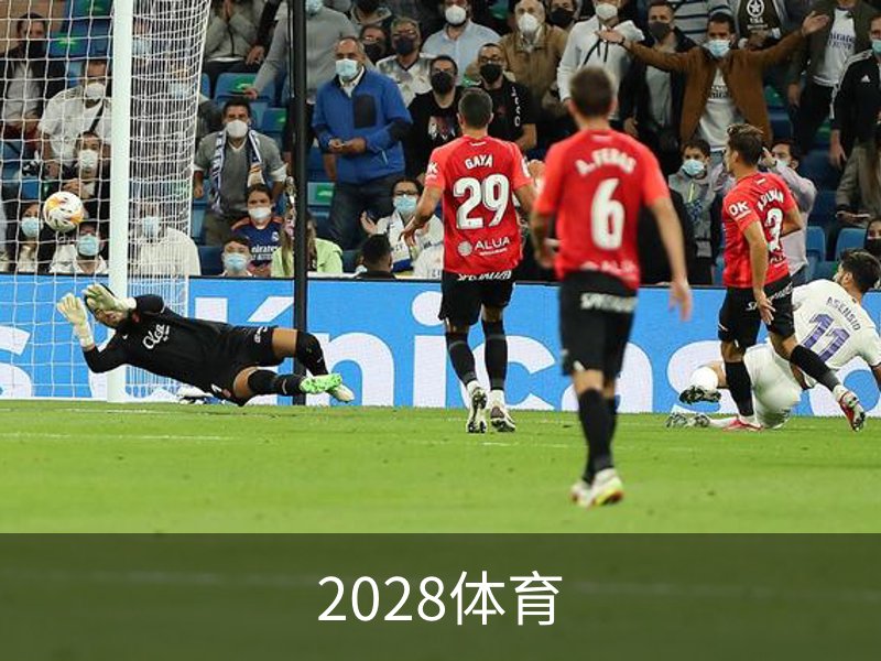 走进2028体育